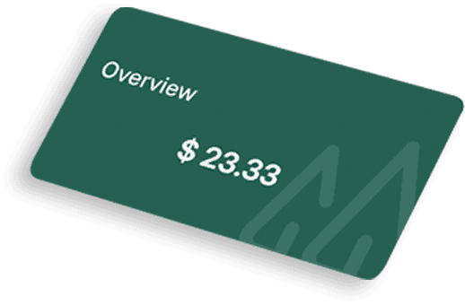 Pine Overview balance card