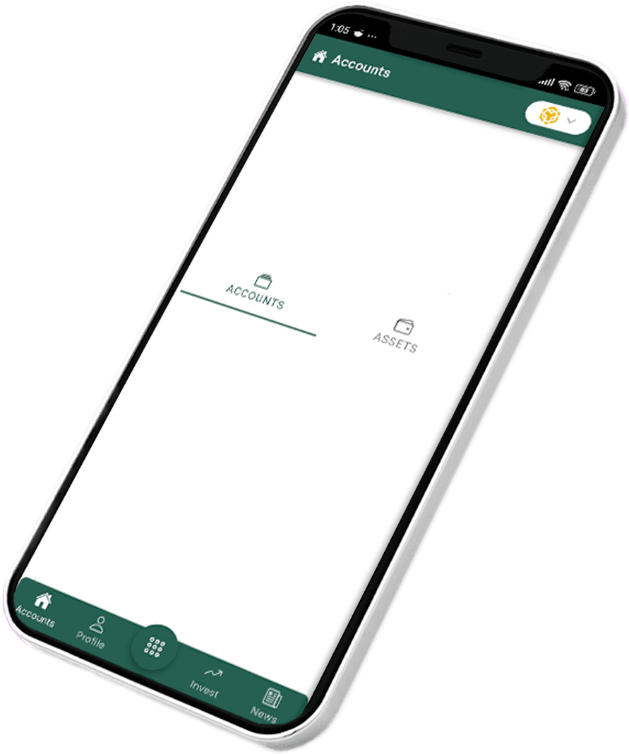 Pine Accounts screen